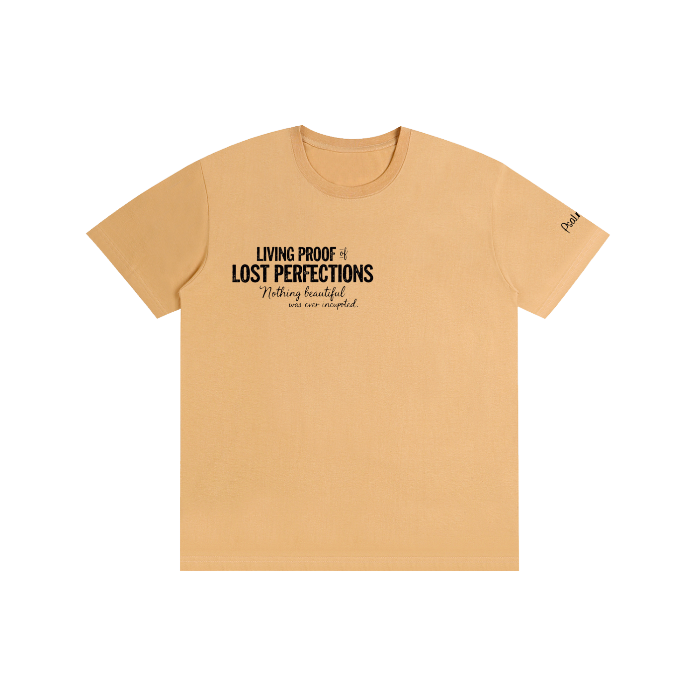 Lost Perfectons T-Shirt