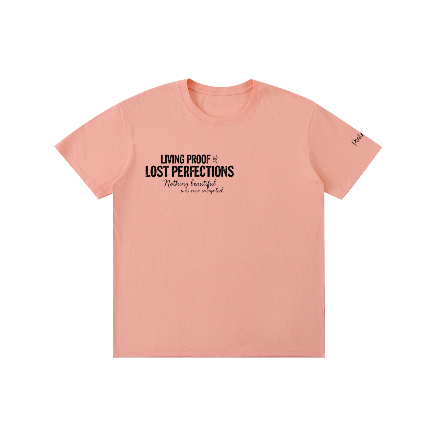 Lost Perfectons T-Shirt