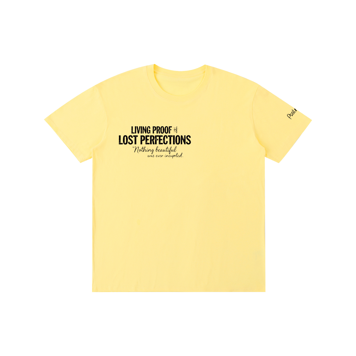Lost Perfectons T-Shirt